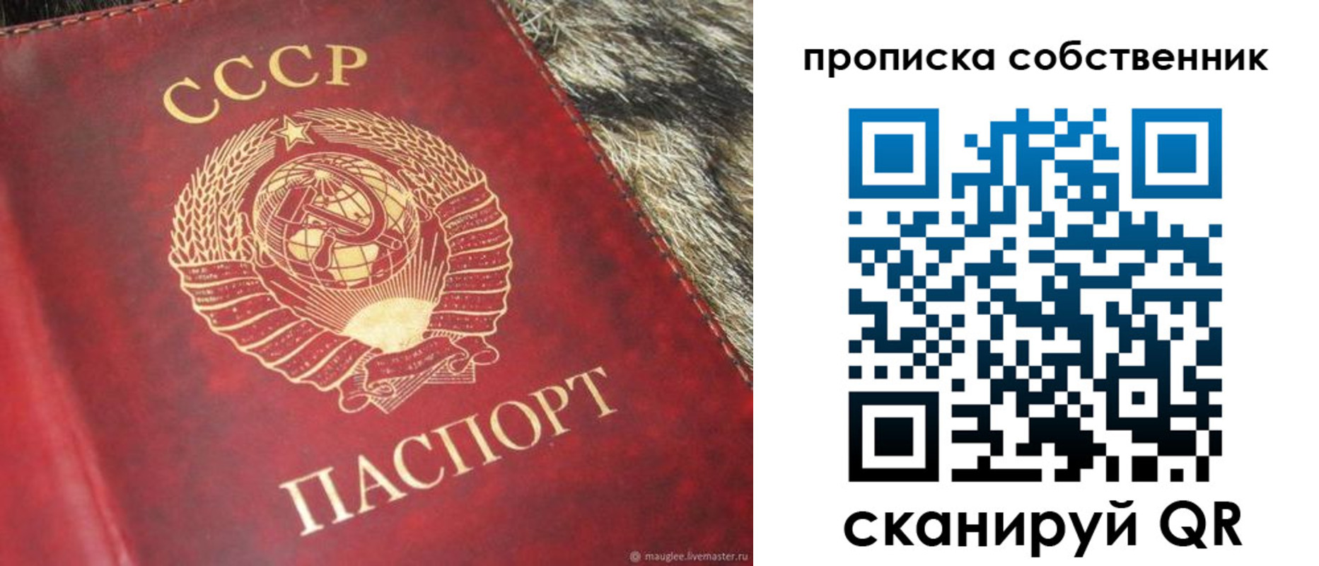 прописка в квартире в Оренбургской области
